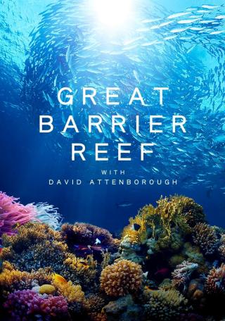 /uploads/images/kham-pha-ran-san-ho-great-barrier-cung-david-attenborough-thumb.jpg